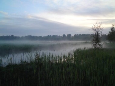 Petitie tegen Disc-golfbaan